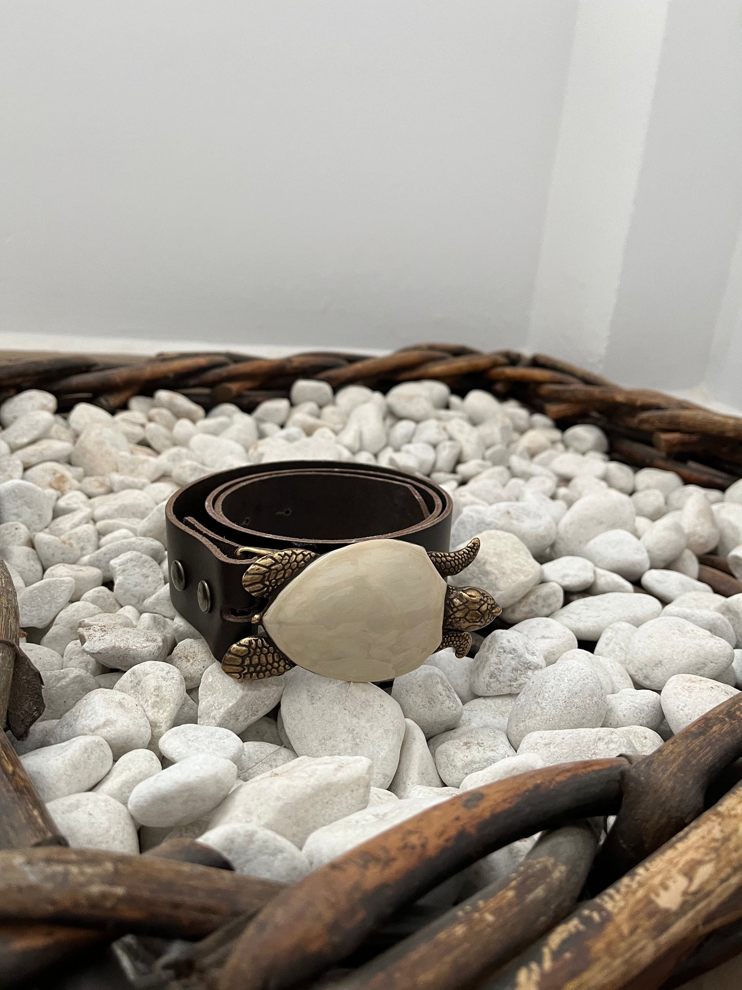 Cinturón tortuga