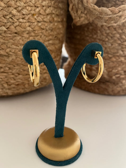 ARGOLLAS ASIMETRIC