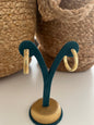 ARGOLLAS RASS